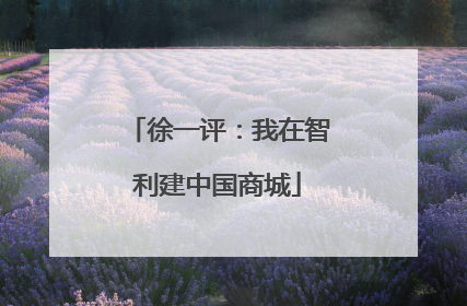 徐一评：我在智利建中国商城