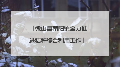 微山县南阳镇全力推进秸秆综合利用工作