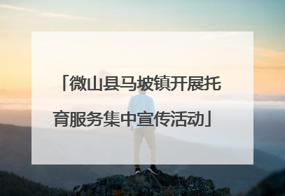 微山县马坡镇开展托育服务集中宣传活动