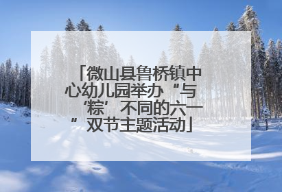 微山县鲁桥镇中心幼儿园举办“与‘粽’不同的六一”双节主题活动