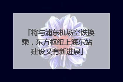 将与浦东机场空铁换乘，东方枢纽上海东站建设又有新进展