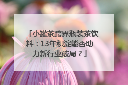 小罐茶跨界瓶装茶饮料：13年积淀能否助力新行业破局？