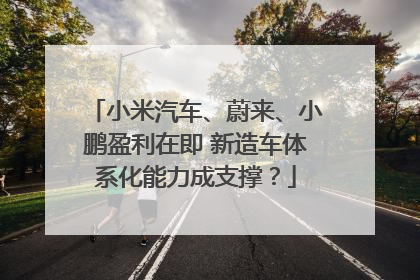 小米汽车、蔚来、小鹏盈利在即 新造车体系化能力成支撑？