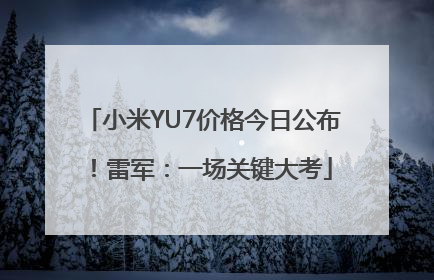 小米YU7价格今日公布！雷军：一场关键大考