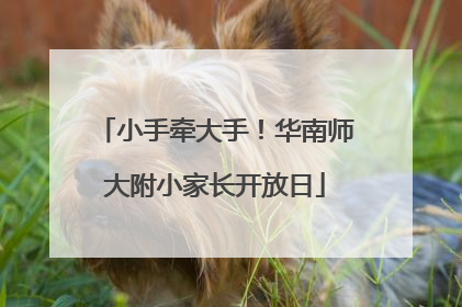 小手牵大手！华南师大附小家长开放日