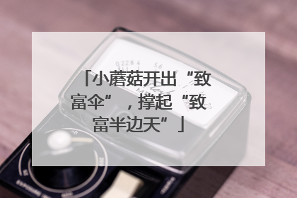 小蘑菇开出“致富伞”，撑起“致富半边天”