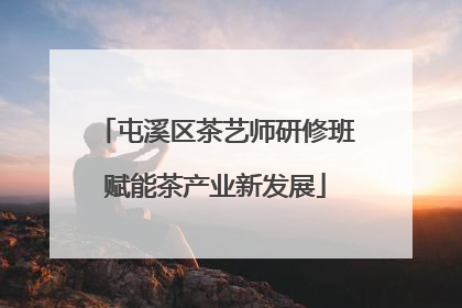 屯溪区茶艺师研修班赋能茶产业新发展