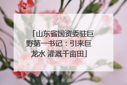 山东省国资委驻巨野第一书记：引来巨龙水 灌溉千亩田