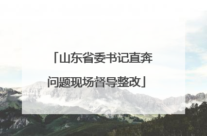 山东省委书记直奔问题现场督导整改
