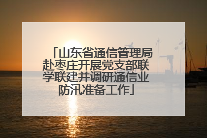 山东省通信管理局赴枣庄开展党支部联学联建并调研通信业防汛准备工作