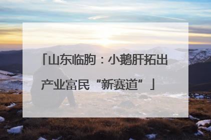 山东临朐：小鹅肝拓出产业富民“新赛道”
