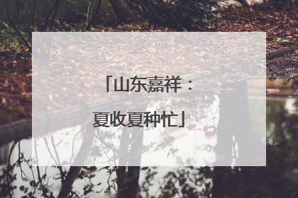 山东嘉祥：夏收夏种忙