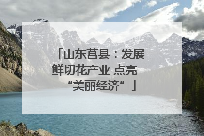 山东莒县：发展鲜切花产业 点亮“美丽经济”