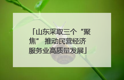 山东采取三个“聚焦” 推动民营经济服务业高质量发展