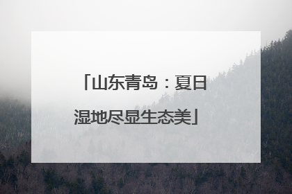 山东青岛：夏日湿地尽显生态美