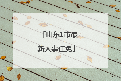 山东1市最新人事任免