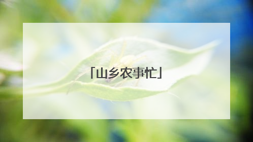 山乡农事忙