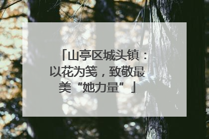 山亭区城头镇：以花为笺，致敬最美“她力量”