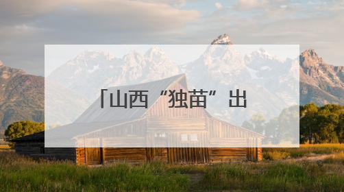 山西“独苗”出战CUBAL女子组全国赛 财大女篮全力冲击八强