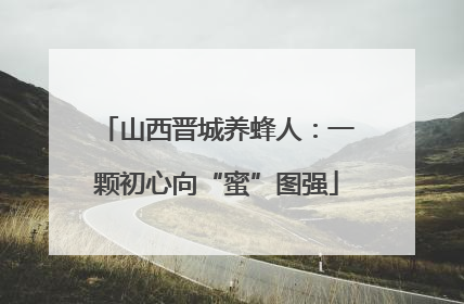 山西晋城养蜂人：一颗初心向“蜜”图强