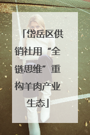 岱岳区供销社用“全链思维”重构羊肉产业生态