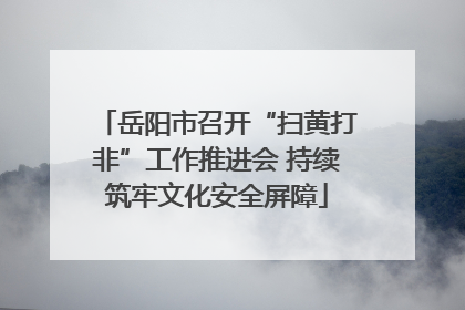 岳阳市召开“扫黄打非”工作推进会 持续筑牢文化安全屏障