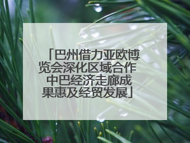 巴州借力亚欧博览会深化区域合作 中巴经济走廊成果惠及经贸发展