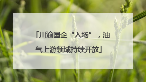 川渝国企“入场”，油气上游领域持续开放