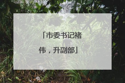 市委书记褚伟，升副部