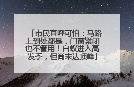市民直呼可怕：马路上到处都是，门窗紧闭也不管用！白蚁进入高发季，但尚未达顶峰