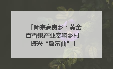 师宗高良乡：黄金百香果产业奏响乡村振兴“致富曲”