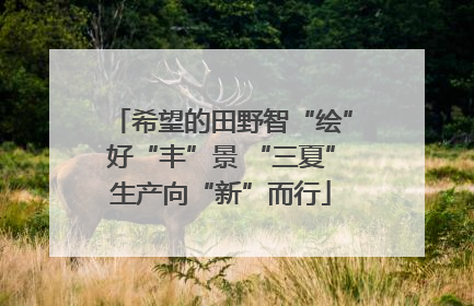 希望的田野智“绘”好“丰”景 “三夏”生产向“新”而行