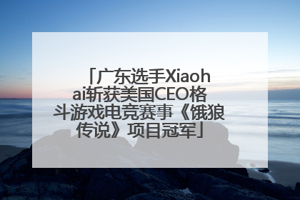广东选手Xiaohai斩获美国CEO格斗游戏电竞赛事《饿狼传说》项目冠军