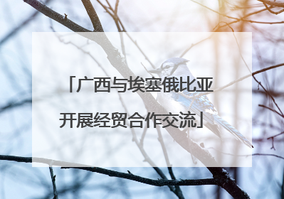 广西与埃塞俄比亚开展经贸合作交流