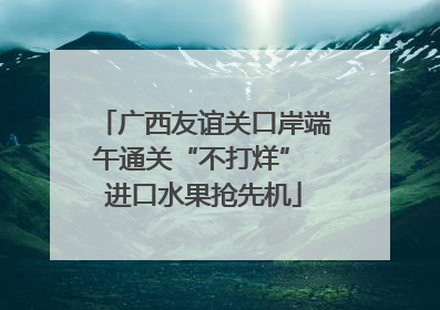 广西友谊关口岸端午通关“不打烊” 进口水果抢先机