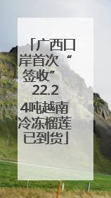 广西口岸首次“签收” 22.24吨越南冷冻榴莲已到货