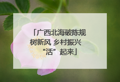 广西北海破陈规树新风 乡村振兴“活”起来