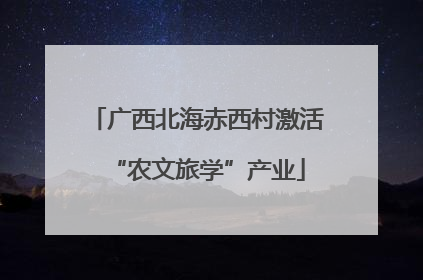 广西北海赤西村激活“农文旅学”产业