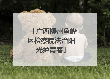 广西柳州鱼峰区检察院法治阳光护青春