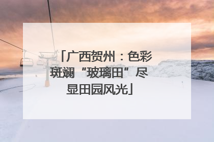 广西贺州：色彩斑斓“玻璃田”尽显田园风光