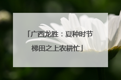 广西龙胜：夏种时节 梯田之上农耕忙
