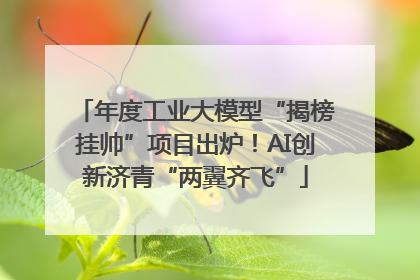 年度工业大模型“揭榜挂帅”项目出炉！AI创新济青“两翼齐飞”