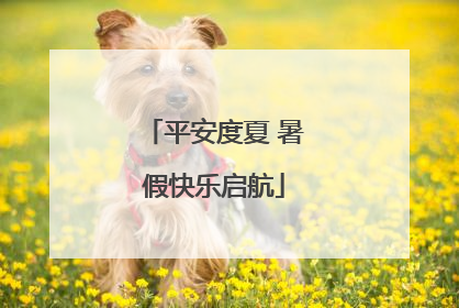 平安度夏 暑假快乐启航
