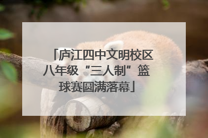 庐江四中文明校区八年级“三人制”篮球赛圆满落幕
