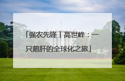 强农先锋丨高世峰：一只鹅肝的全球化之旅