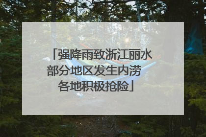 强降雨致浙江丽水部分地区发生内涝 各地积极抢险