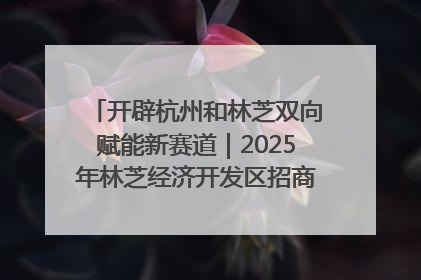 开辟杭州和林芝双向赋能新赛道｜2025年林芝经济开发区招商引资（杭州）推介展销活动在杭举办