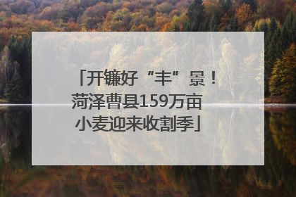 开镰好“丰”景！菏泽曹县159万亩小麦迎来收割季