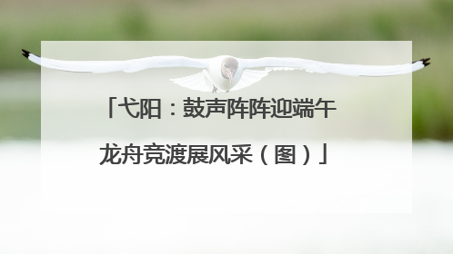 弋阳：鼓声阵阵迎端午 龙舟竞渡展风采（图）