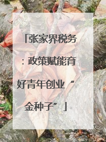 张家界税务：政策赋能育好青年创业“金种子”
